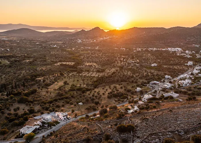 Lägenhetshotell Alkema Horizon
